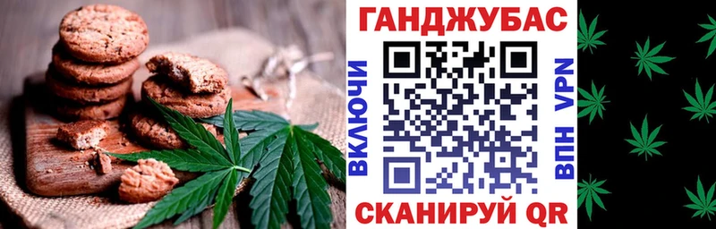 МЕГА tor  купить наркотик  Новосокольники  Еда ТГК конопля 