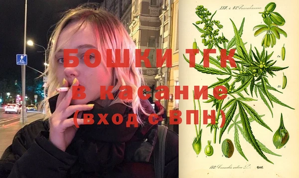 мдпв Верхний Тагил