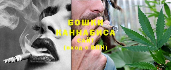 мдпв Верхний Тагил