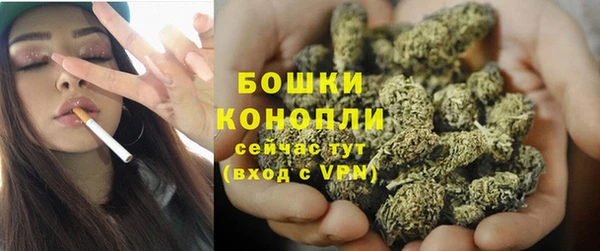 мдпв Верхний Тагил