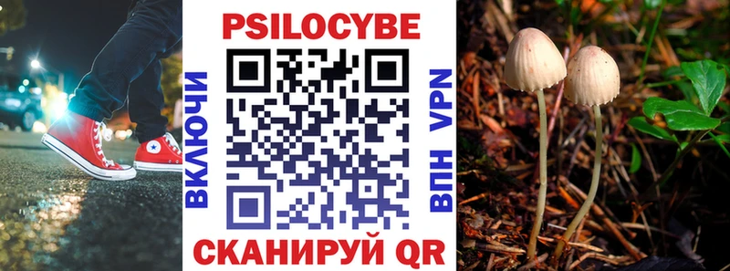 Галлюциногенные грибы Cubensis что такое наркотик сайты даркнета клад Новосокольники